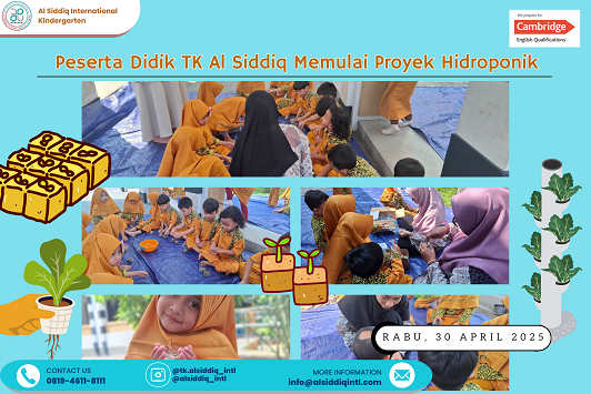 Dari Benih ke Panen: Anak TK Al Siddiq Memulai Proyek Hidroponik